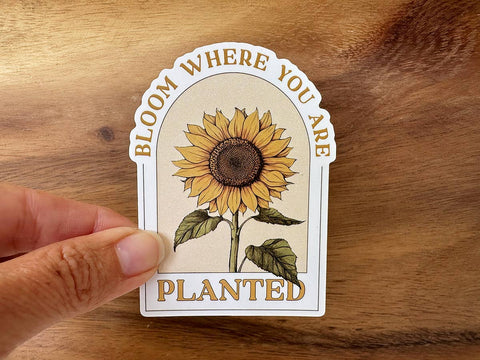 Bloom Where You Are Planted | Floral Sticker | Sunflower