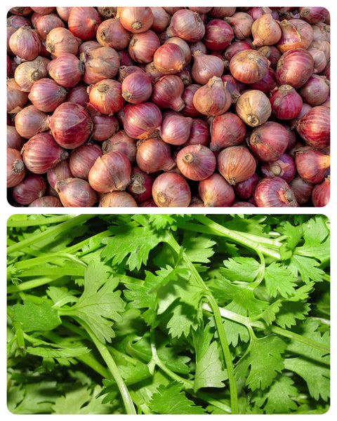 Cilantro & Roasted Onion Infused Olive Oil