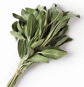 Sage Whole Herb Fused Olive Oil